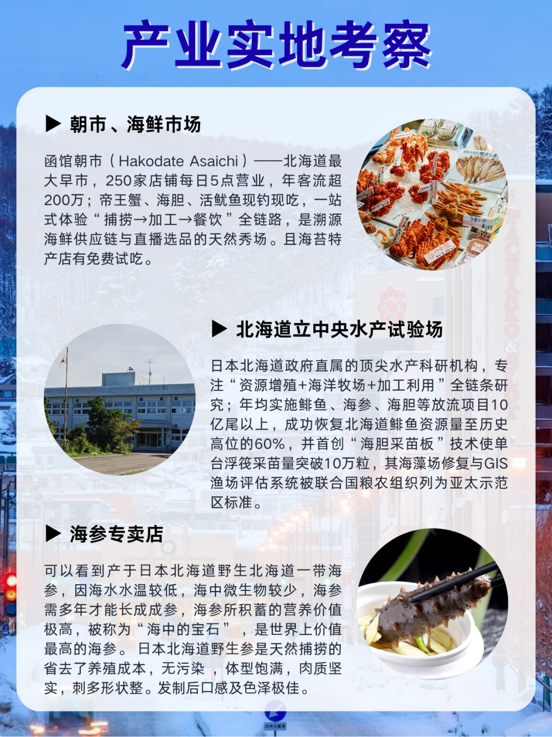 北海道水产考察｜直击诞生全程