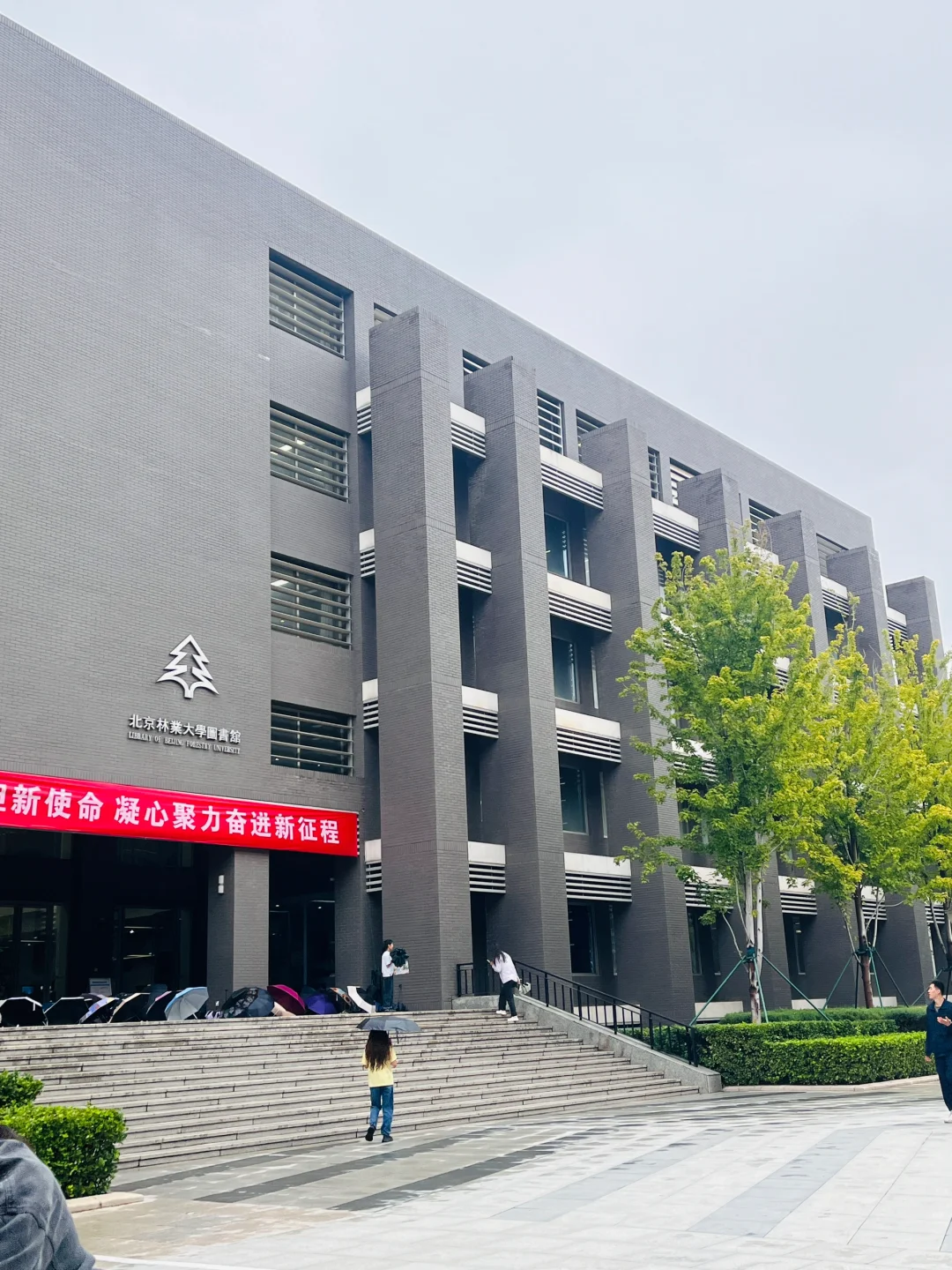 两个半月三跨上岸北林林业专硕（开学篇）