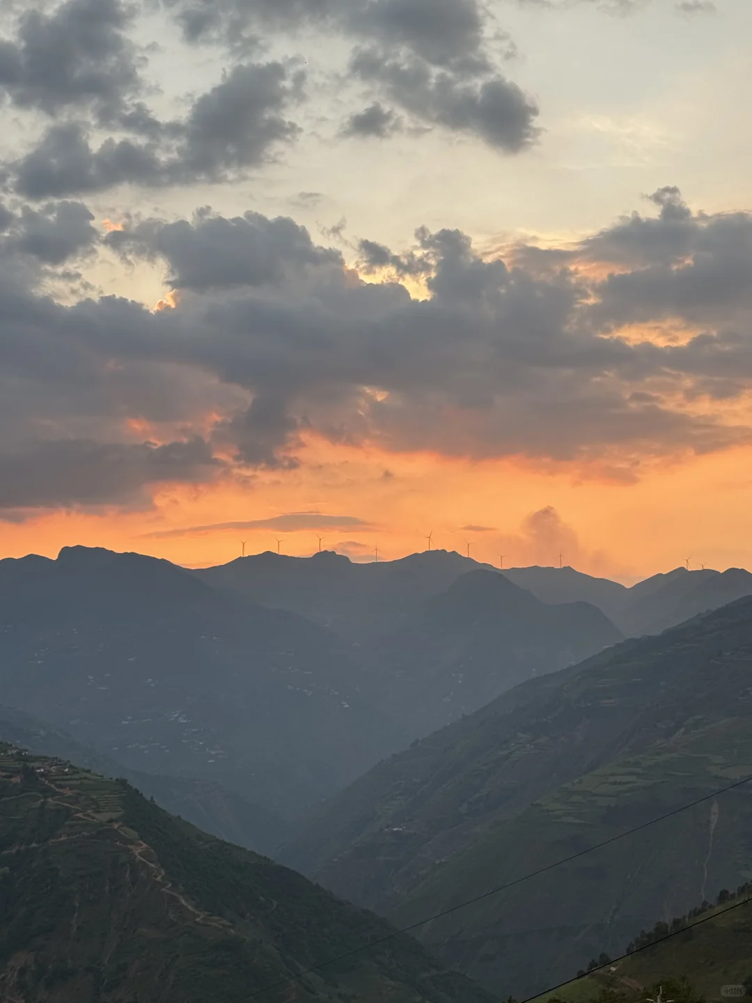 乡镇林业站工作日常｜在现实版的云边镇过秋