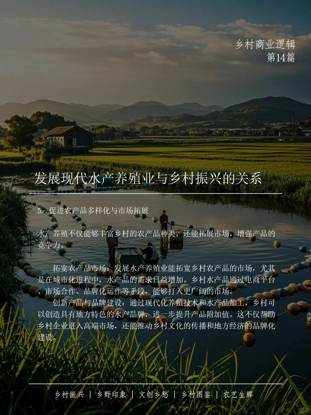 🌊 现代水产养殖助力乡村振兴 🐟✨