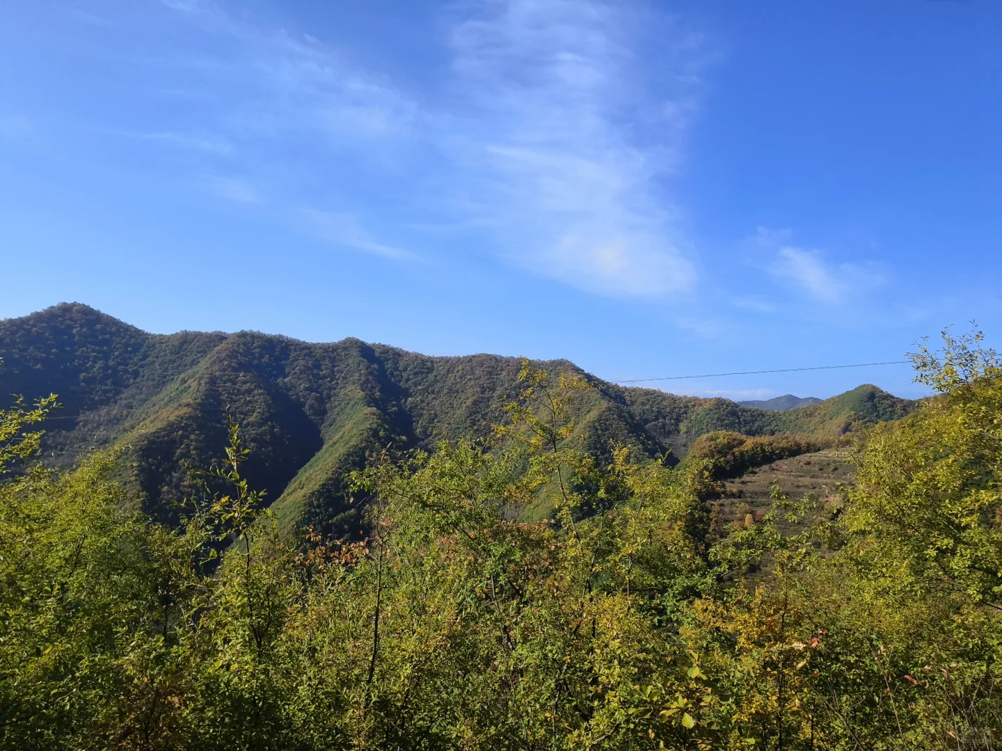 接林业相关报告编写设计