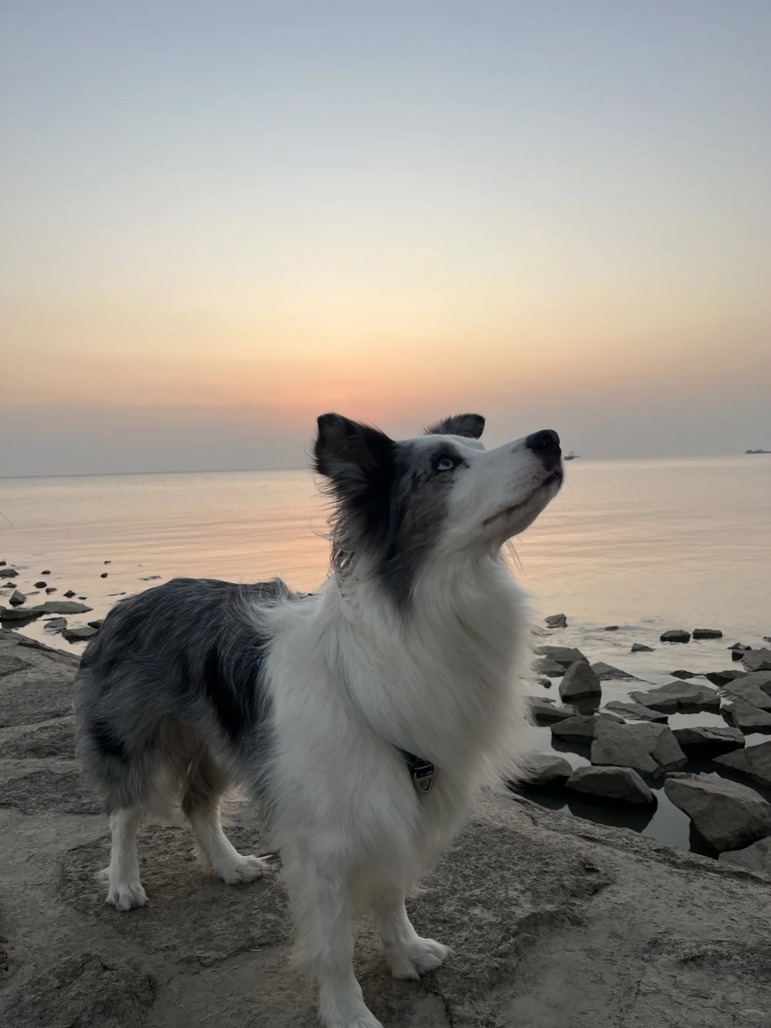 崇明超小众丁坝日落点｜向化镇渔业村