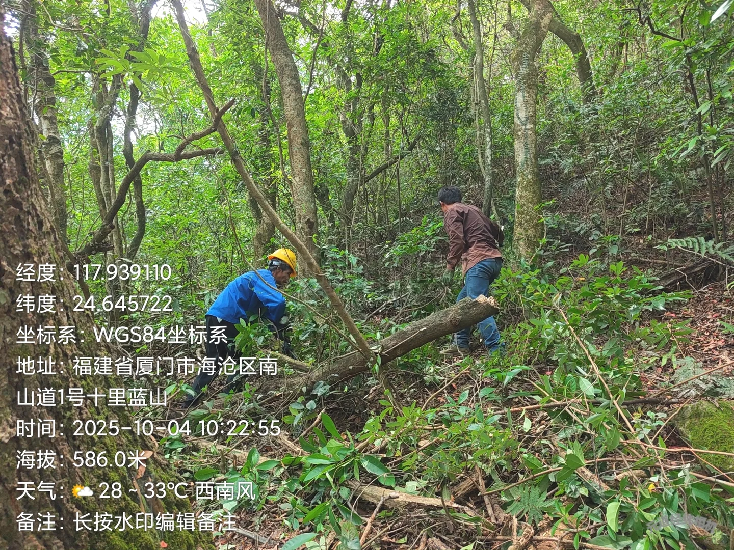 防火林带抚育维修