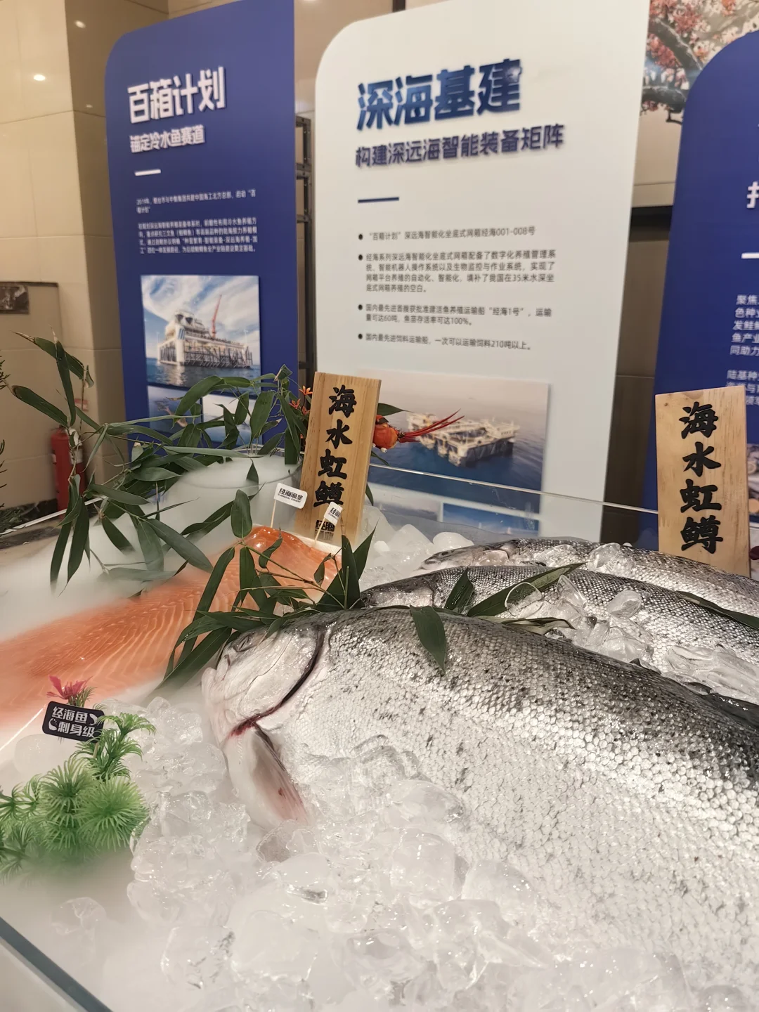 好好学习，认真卖鱼