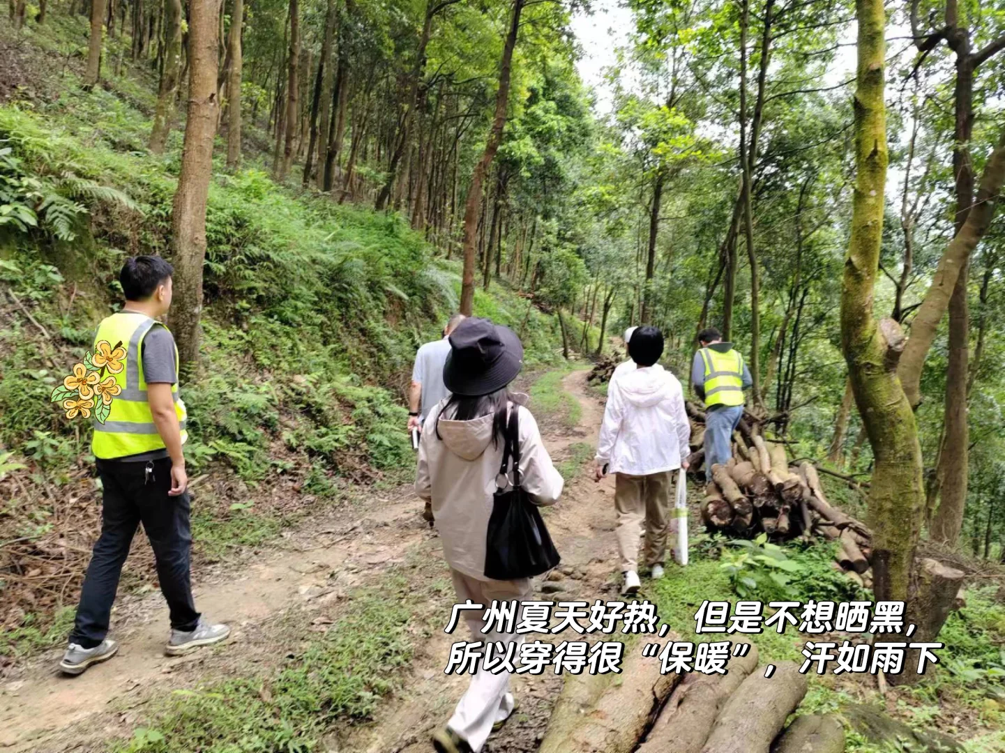 林业工作者乱七八糟的日常