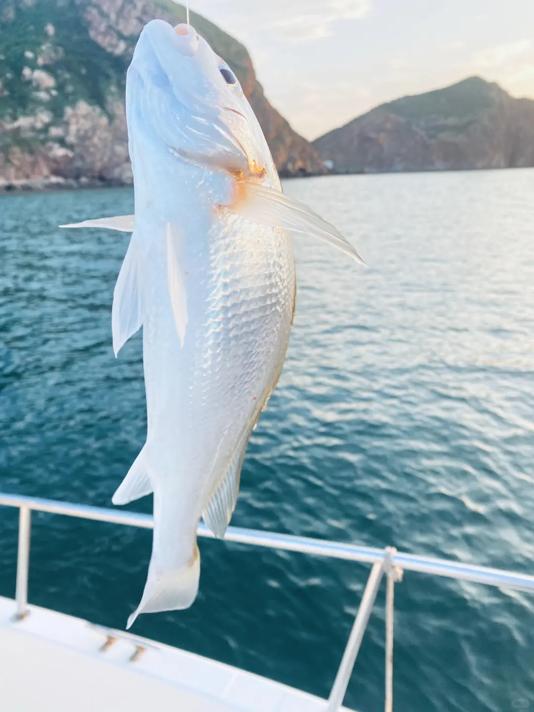 烟台海钓人均198+，能玩3️⃣小时👏👏