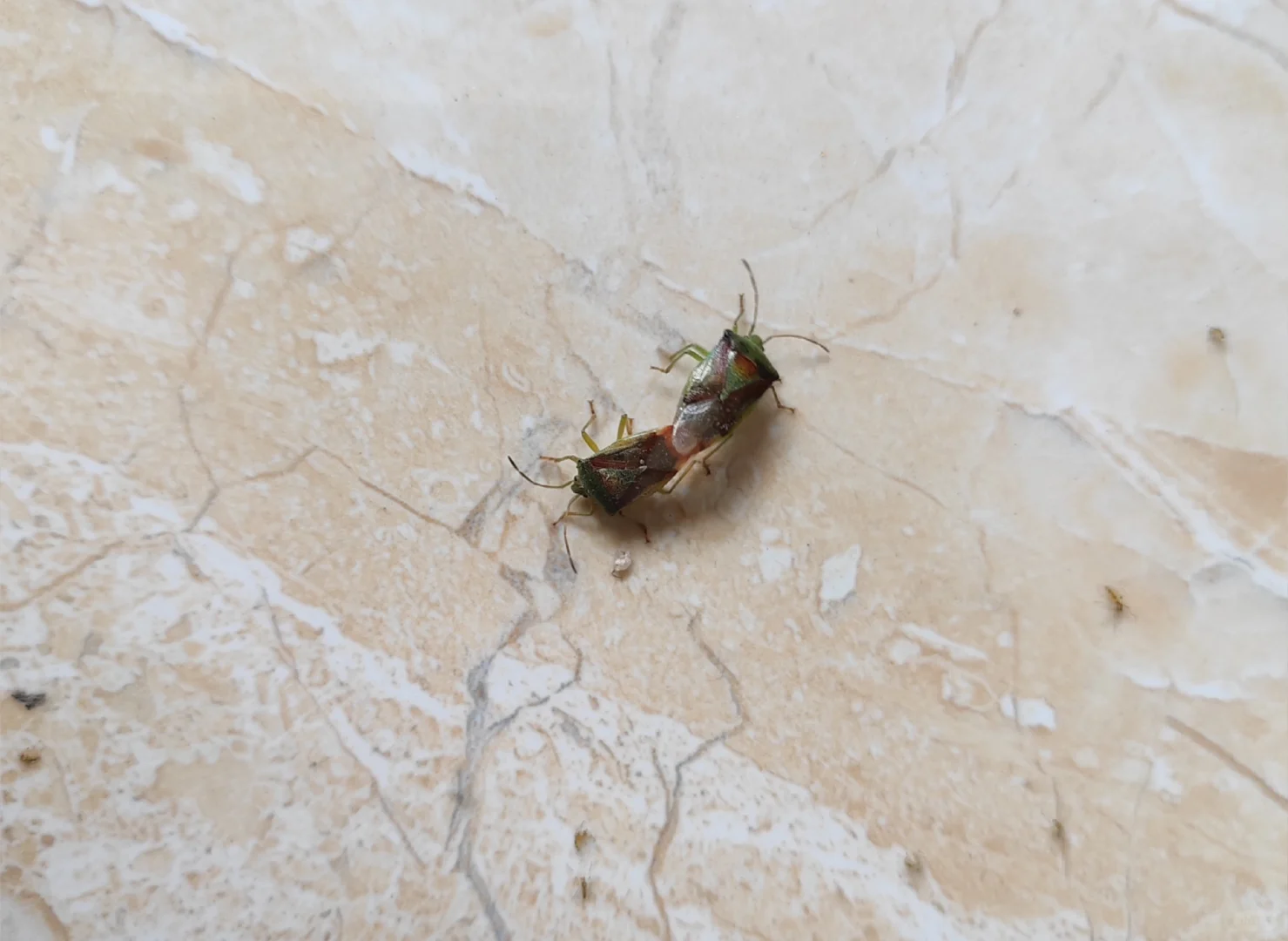 林业人的命也是命