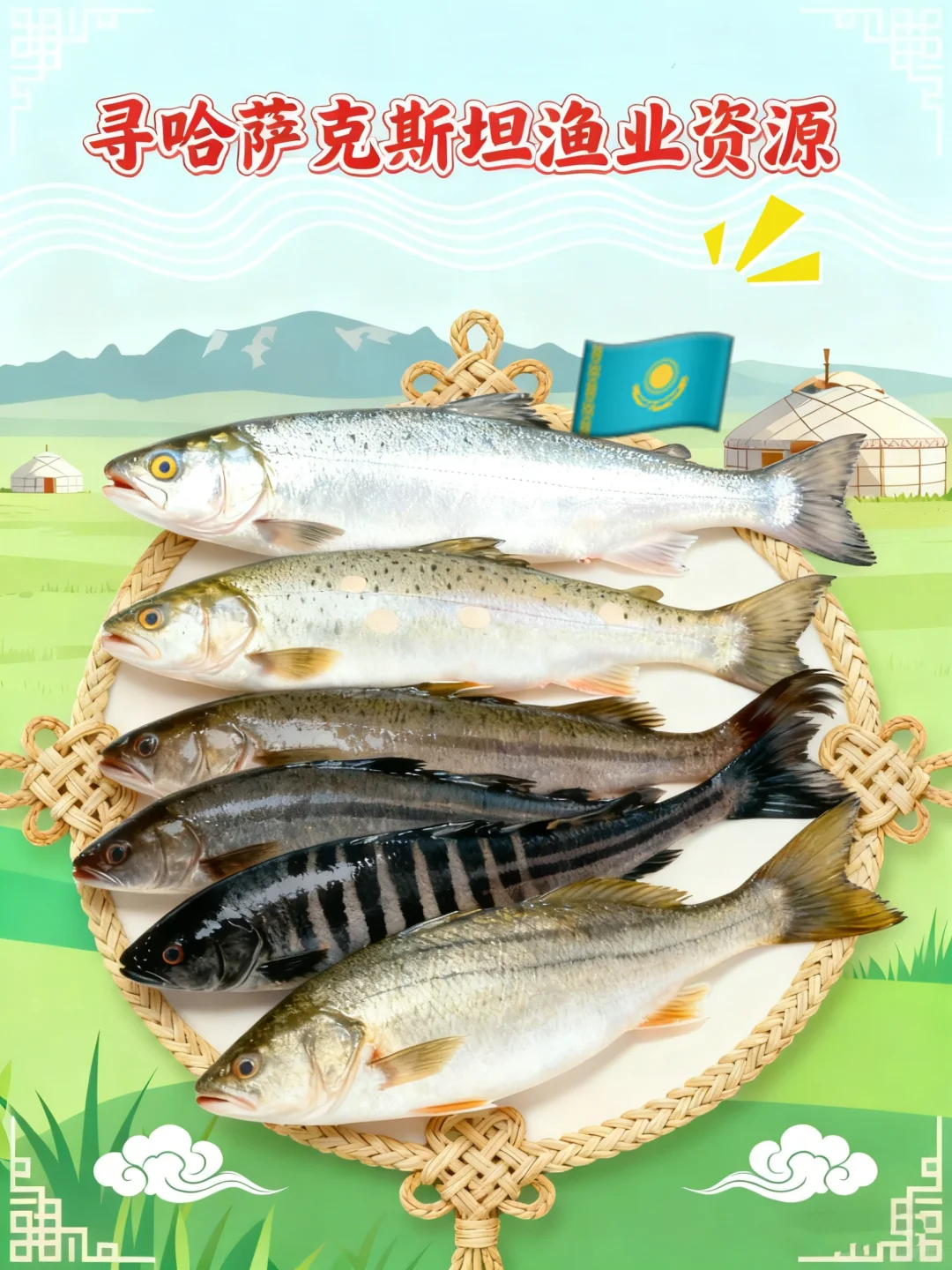 找哈萨克斯坦渔业批发商｜进口中国