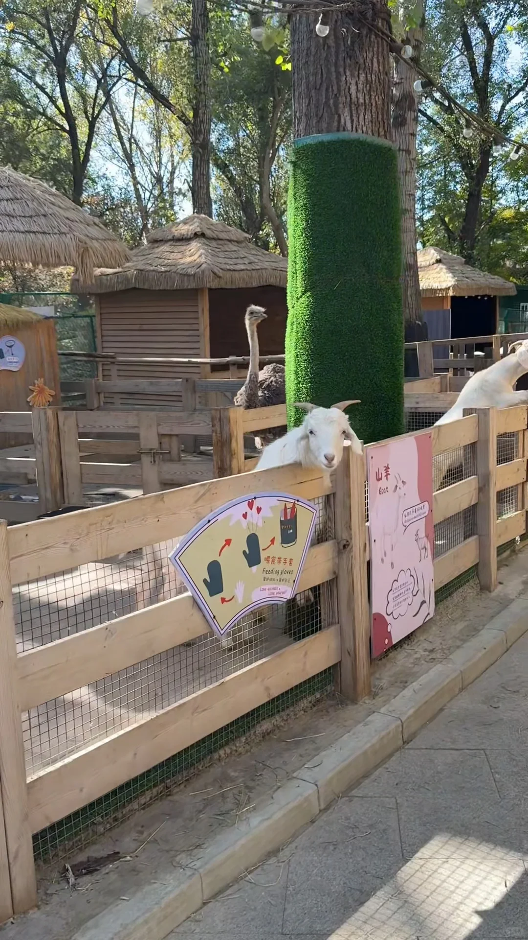 请让我远离那些低能量的人