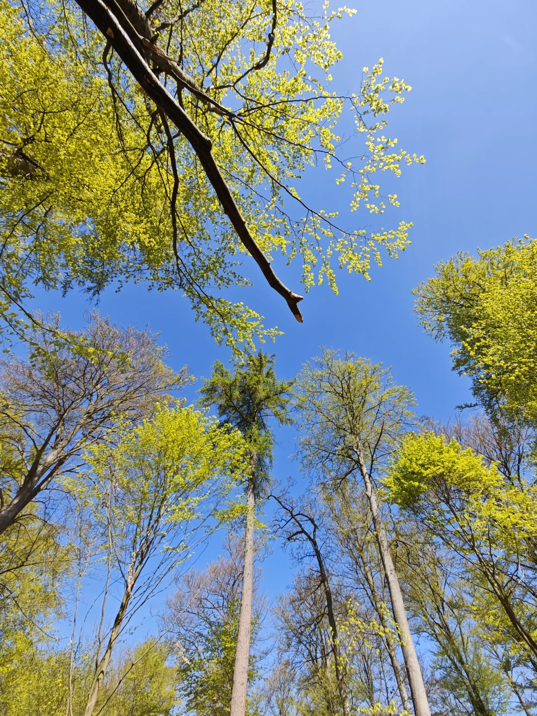 林学人的外业照片🌲