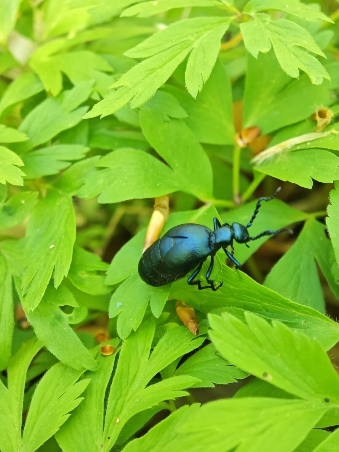 林学人的外业照片🌲