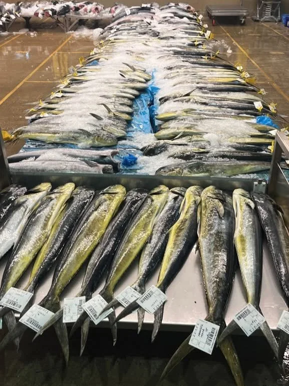 山东威海荣成市远洋渔业集团