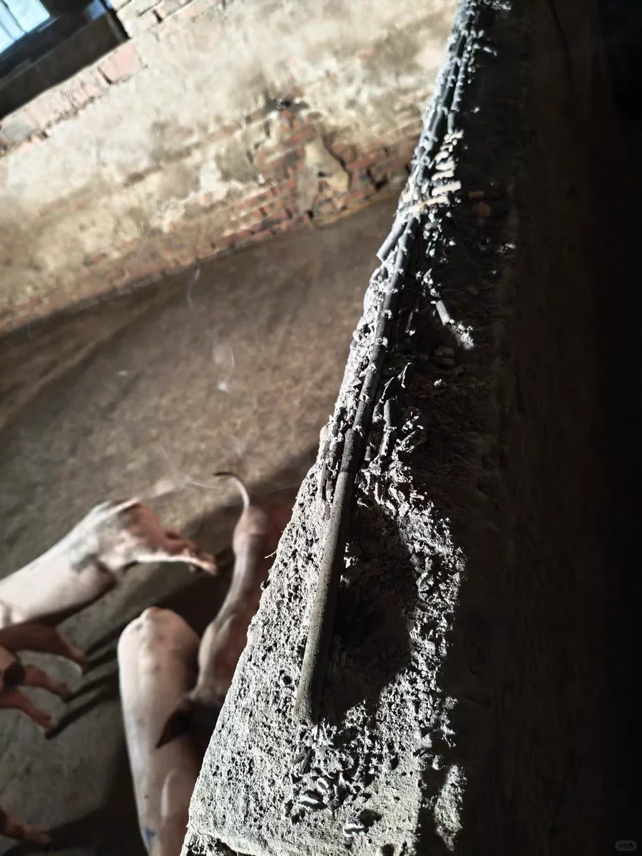 牧原为什么一直在招人…？