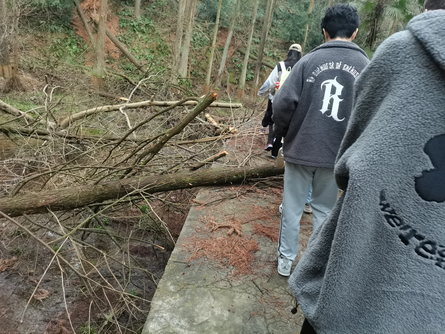 林学人是真的拿命学，别卷林业了