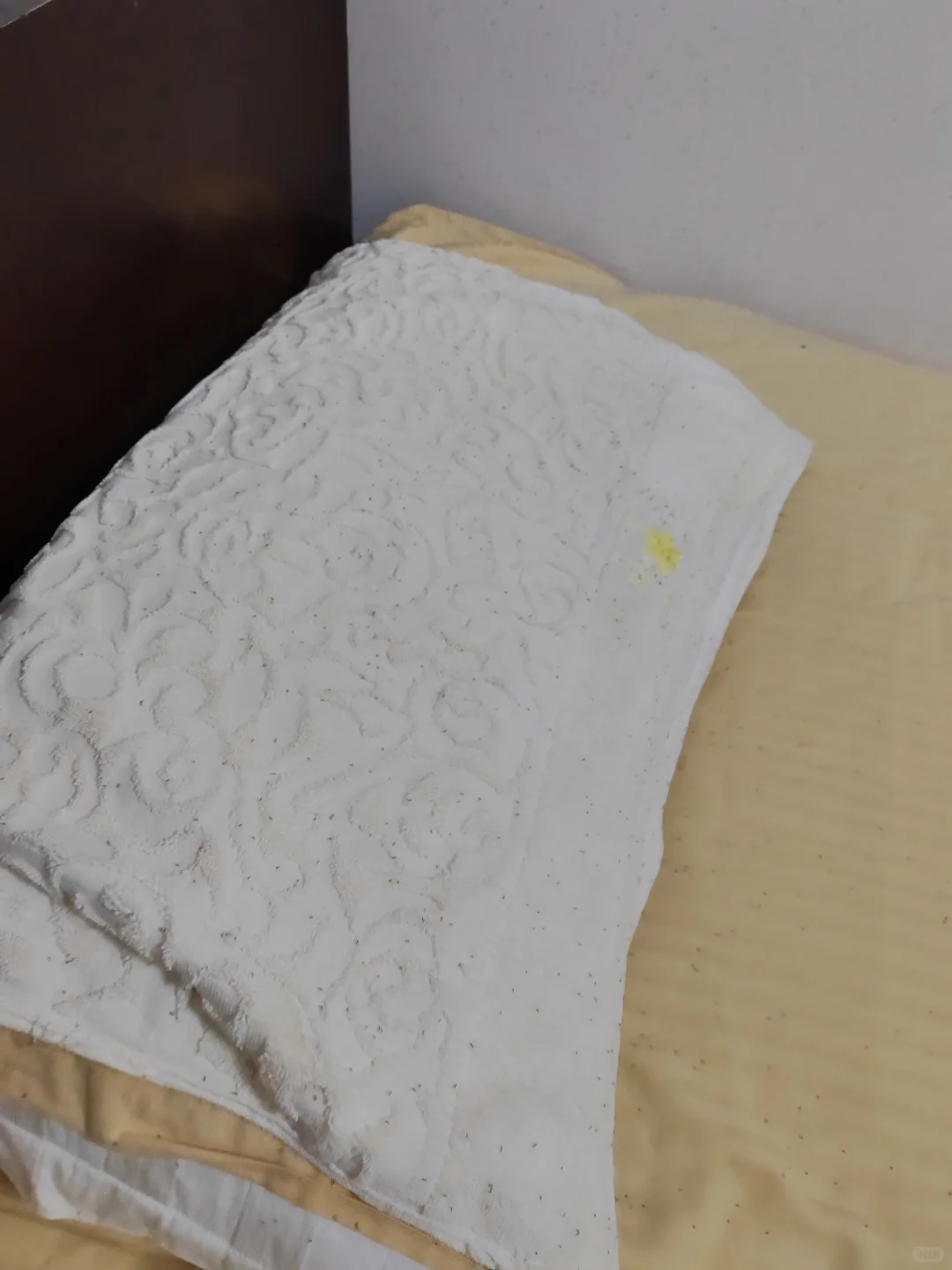 林业人的命也是命