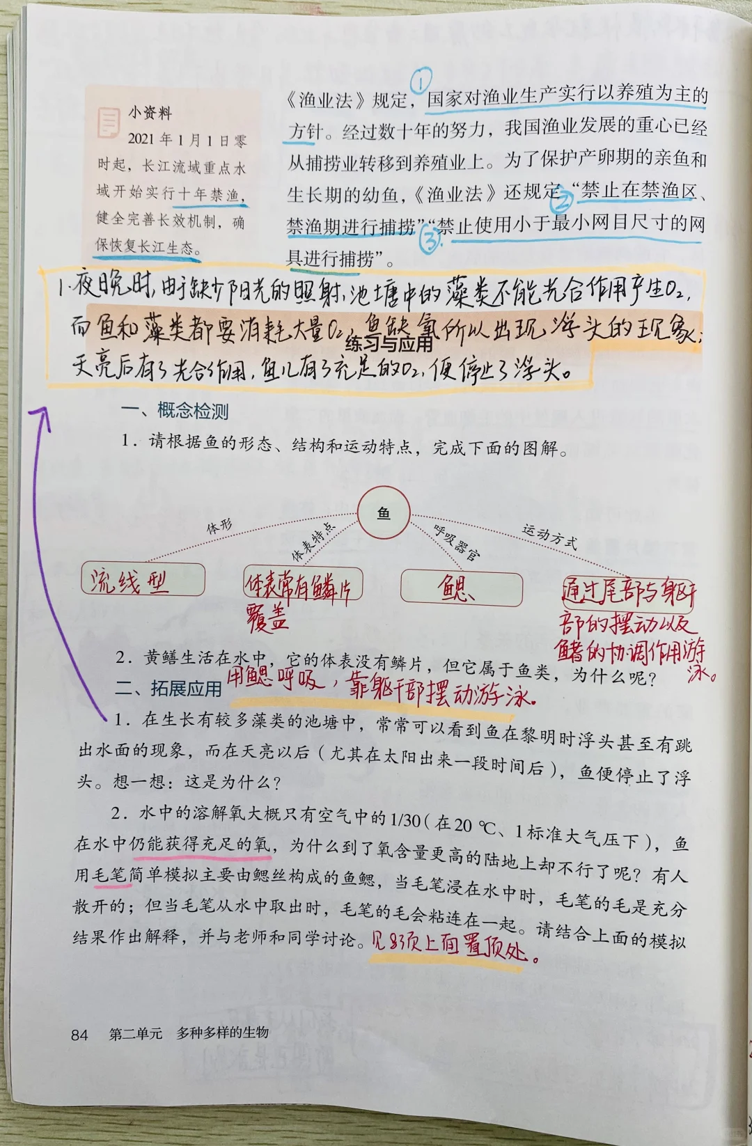 新人教版初中生物七上脊椎动物2.2.2.1鱼