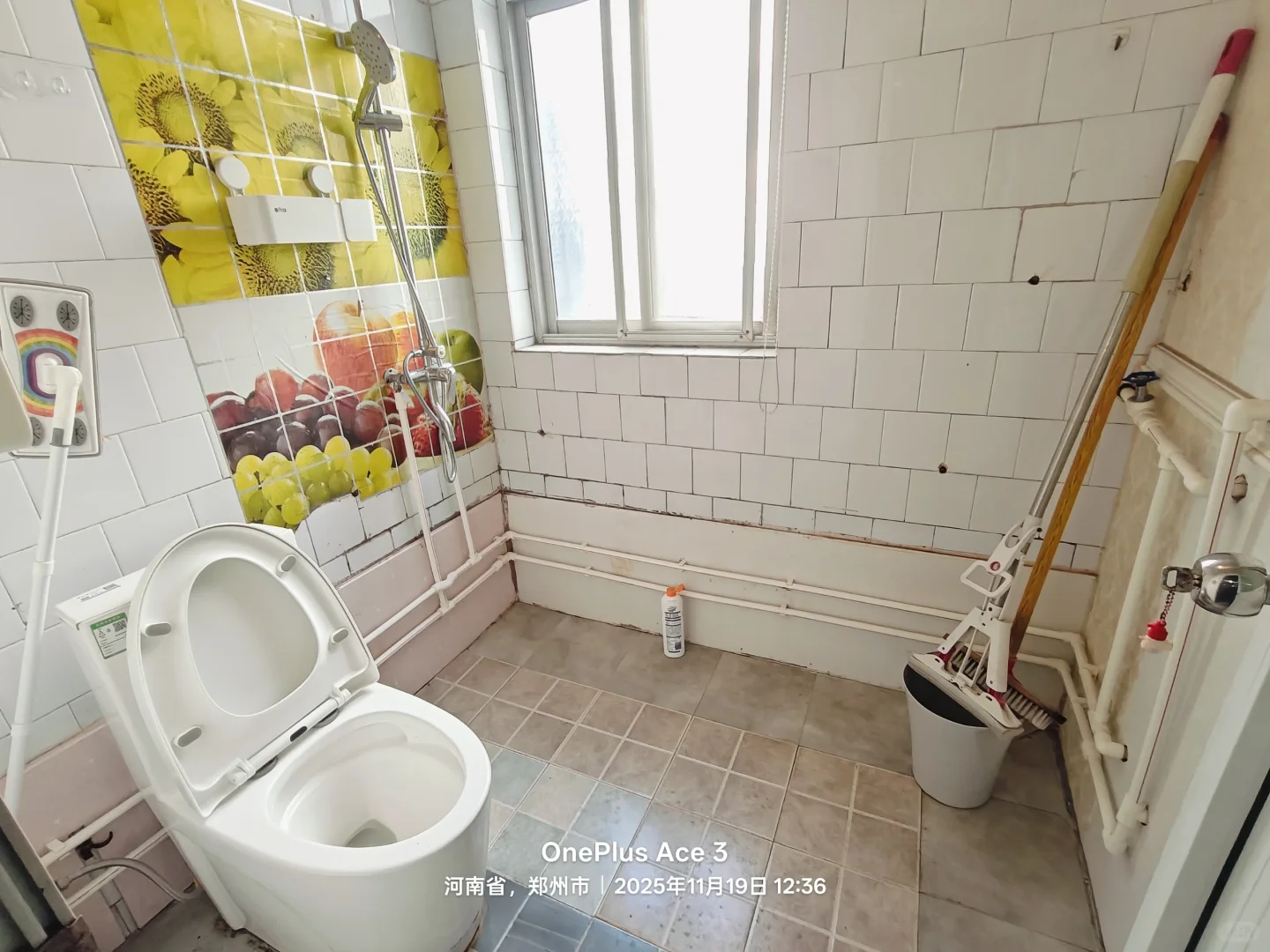 农业路天明路青少年公园整租三室1650