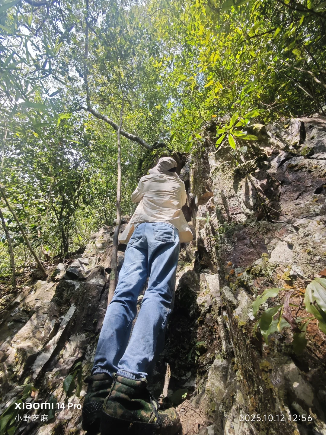 林学的博士是这样出野外的