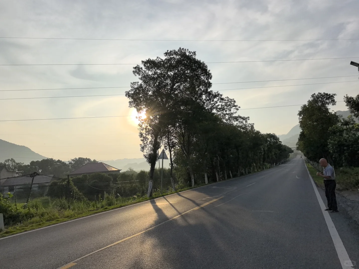风景园林植物方向转林业调查