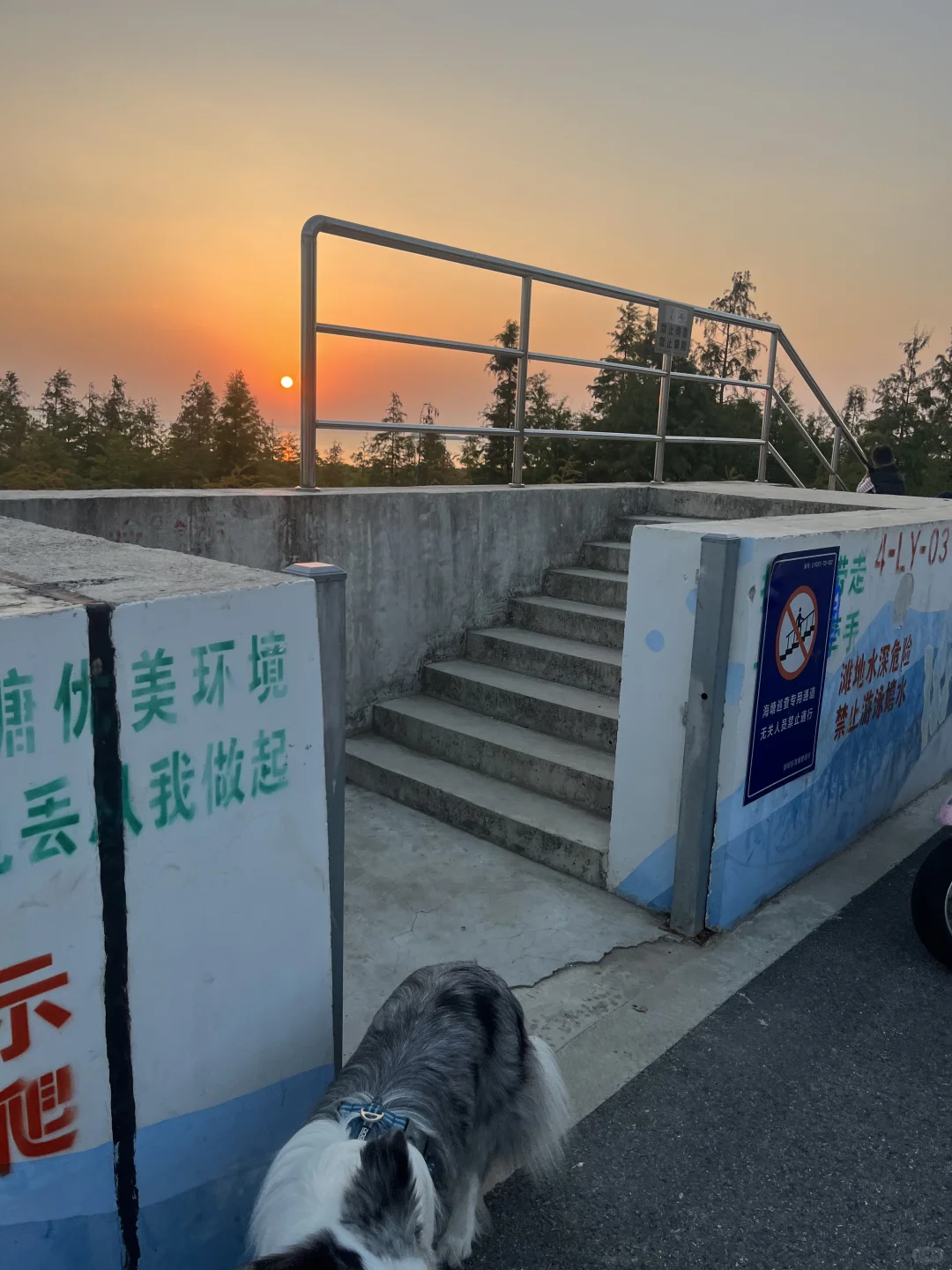 崇明超小众丁坝日落点｜向化镇渔业村