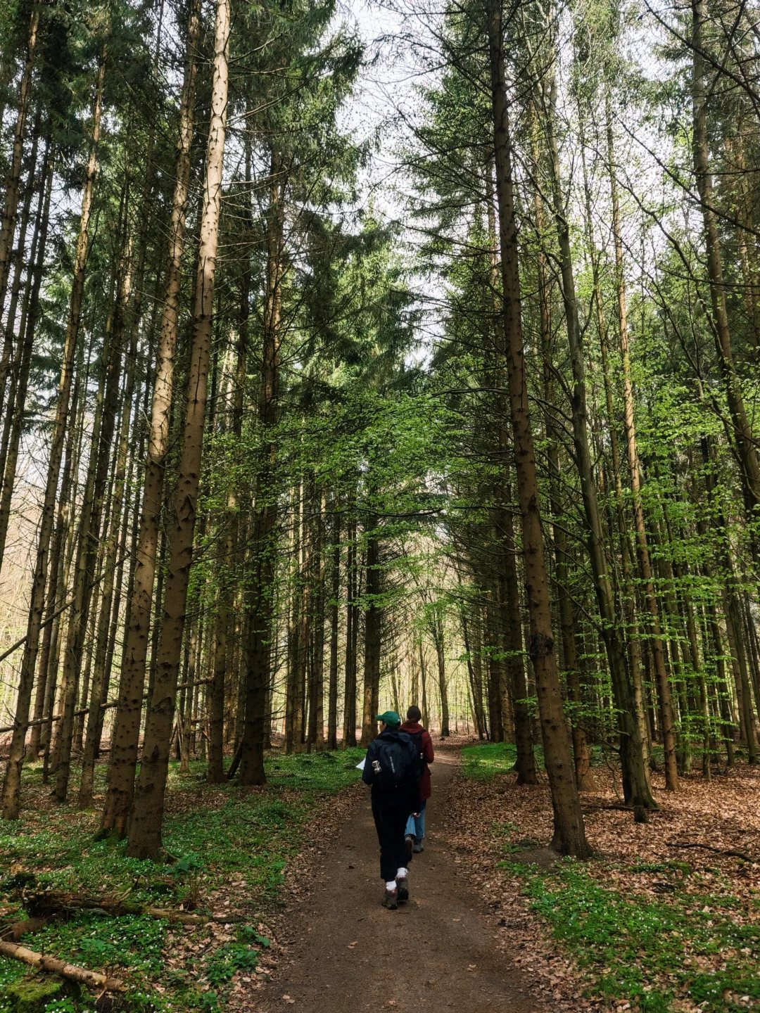 林学人的外业照片🌲
