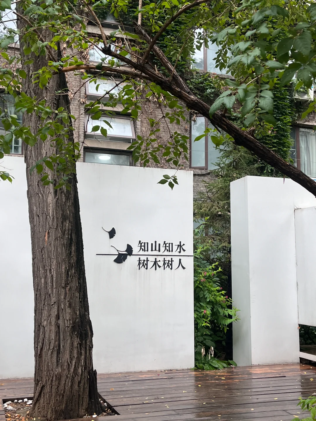 两个半月三跨上岸北林林业专硕（开学篇）