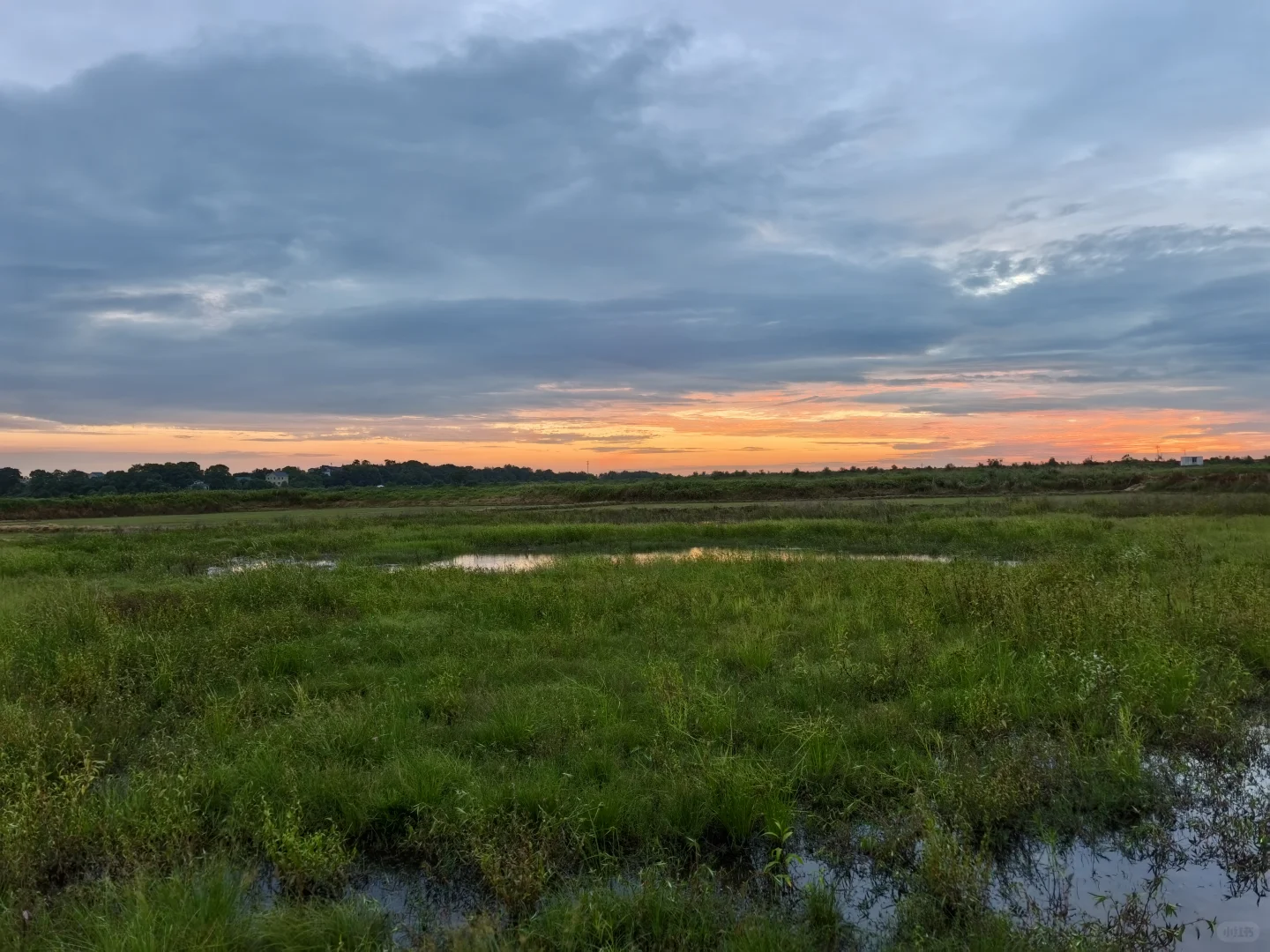 林业调查女生！今天是去赶野味的野人！