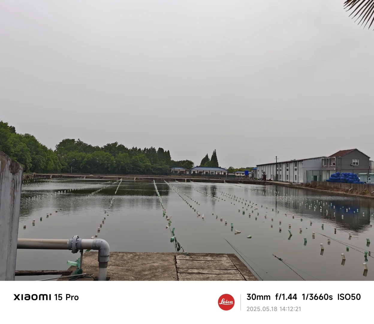 解答水产养殖专业的相关问题(如果我懂的话)