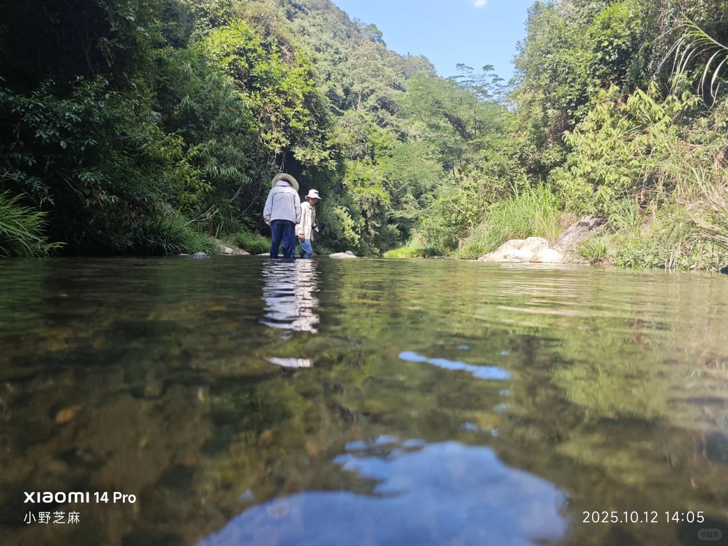 林学的博士是这样出野外的