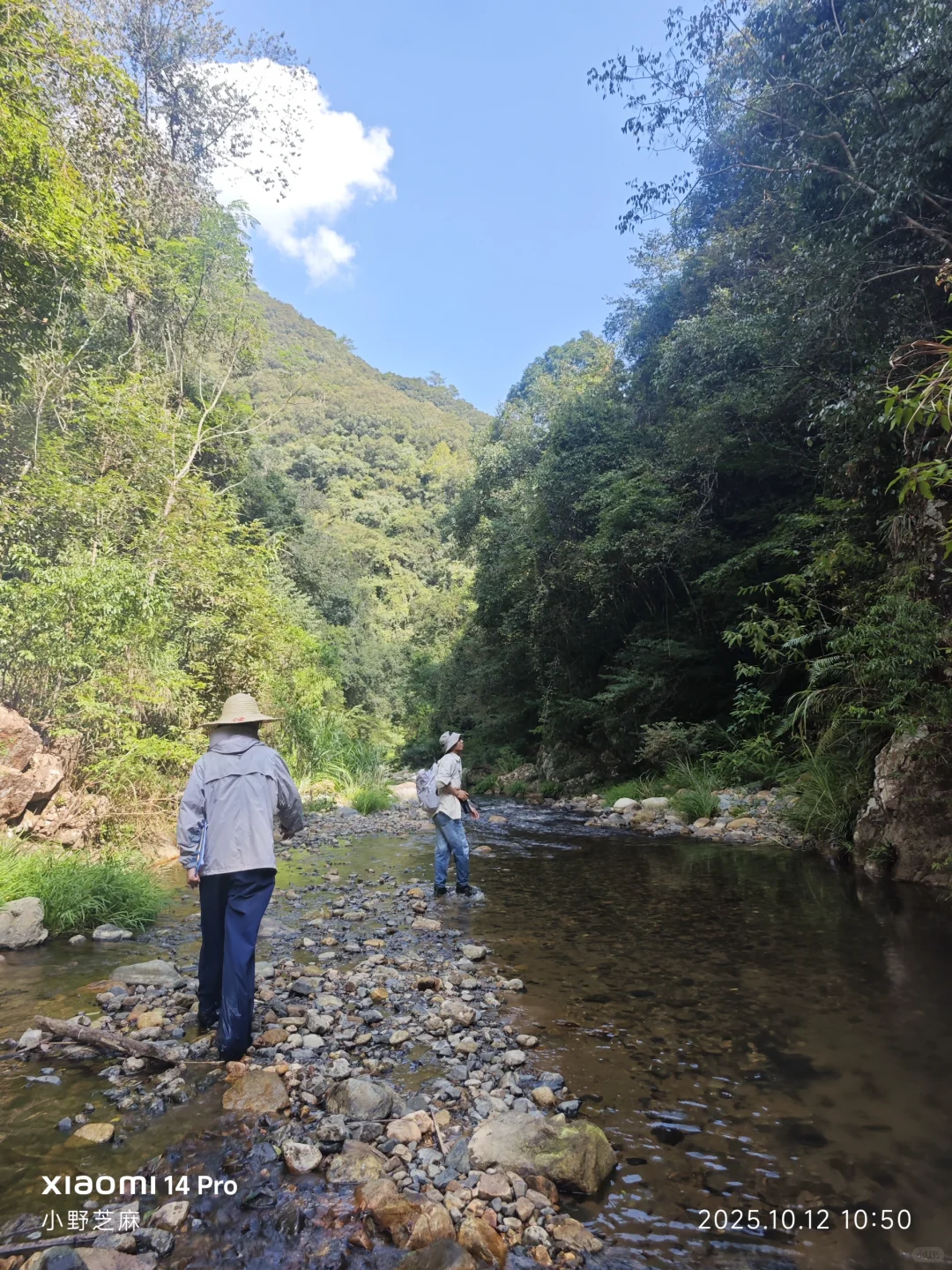 林学的博士是这样出野外的