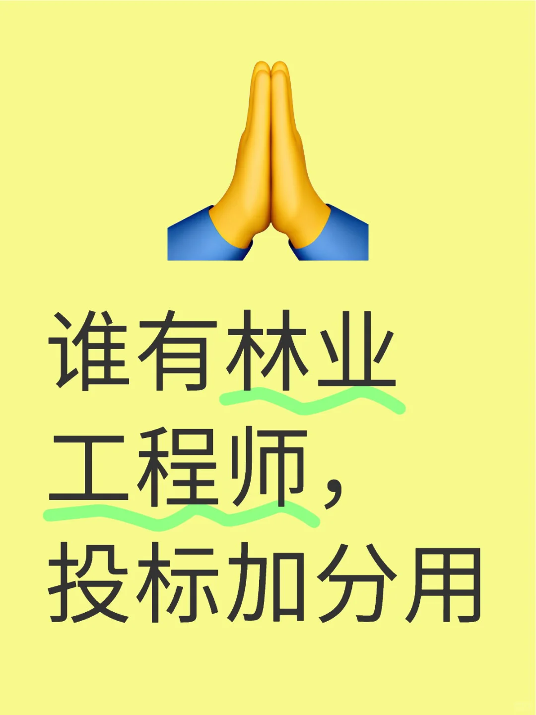 林业工程师吃香了