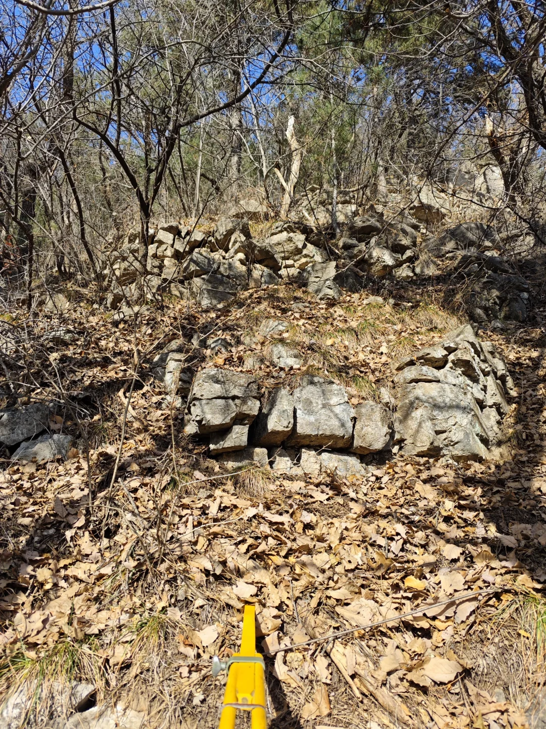 大降温了林业兄弟们工作完成没有