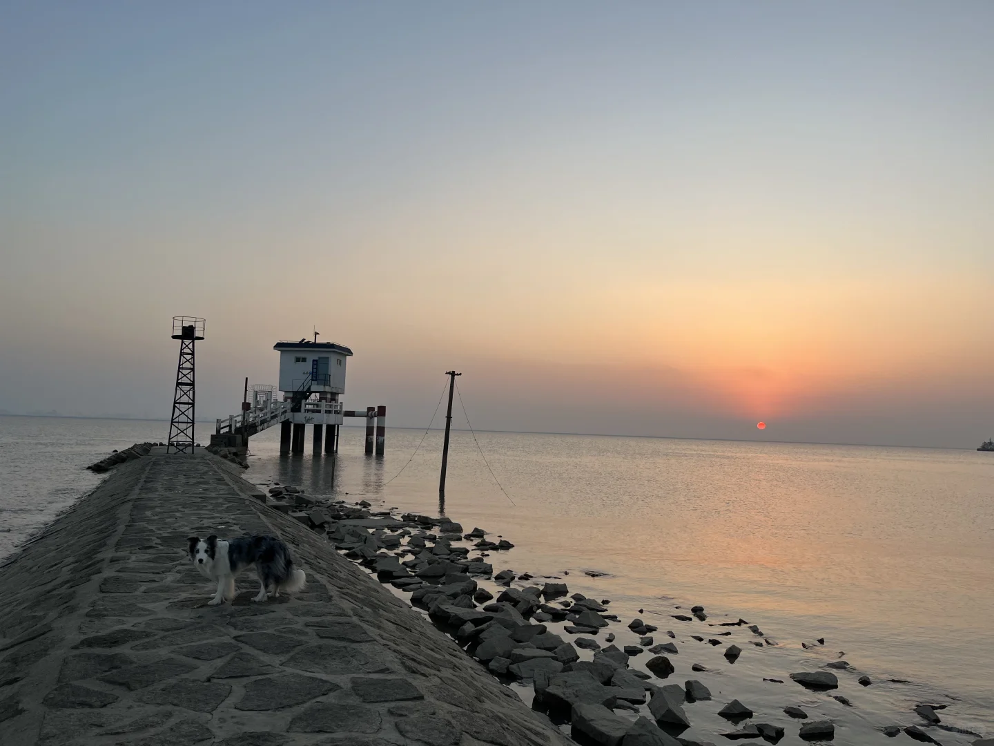 崇明超小众丁坝日落点｜向化镇渔业村