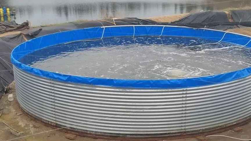 水产养殖的大骗局,千万别再入坑!