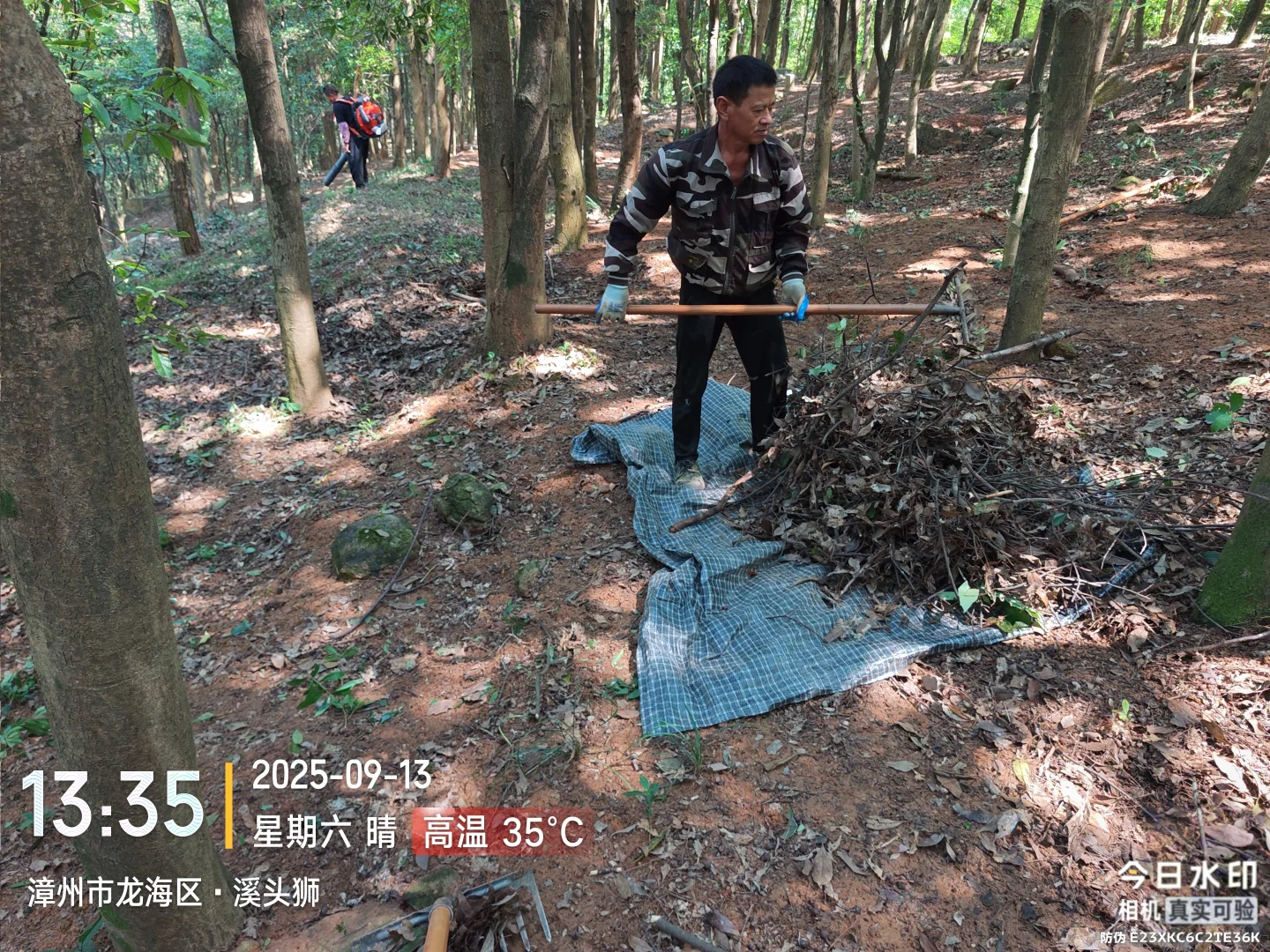 防火林带抚育维修