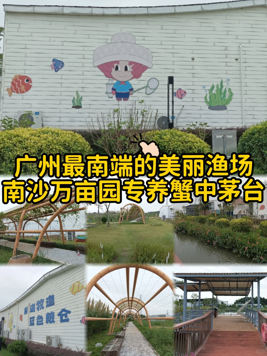 南沙美丽渔场专养蟹中茅台！万亩鱼虾蟹园区