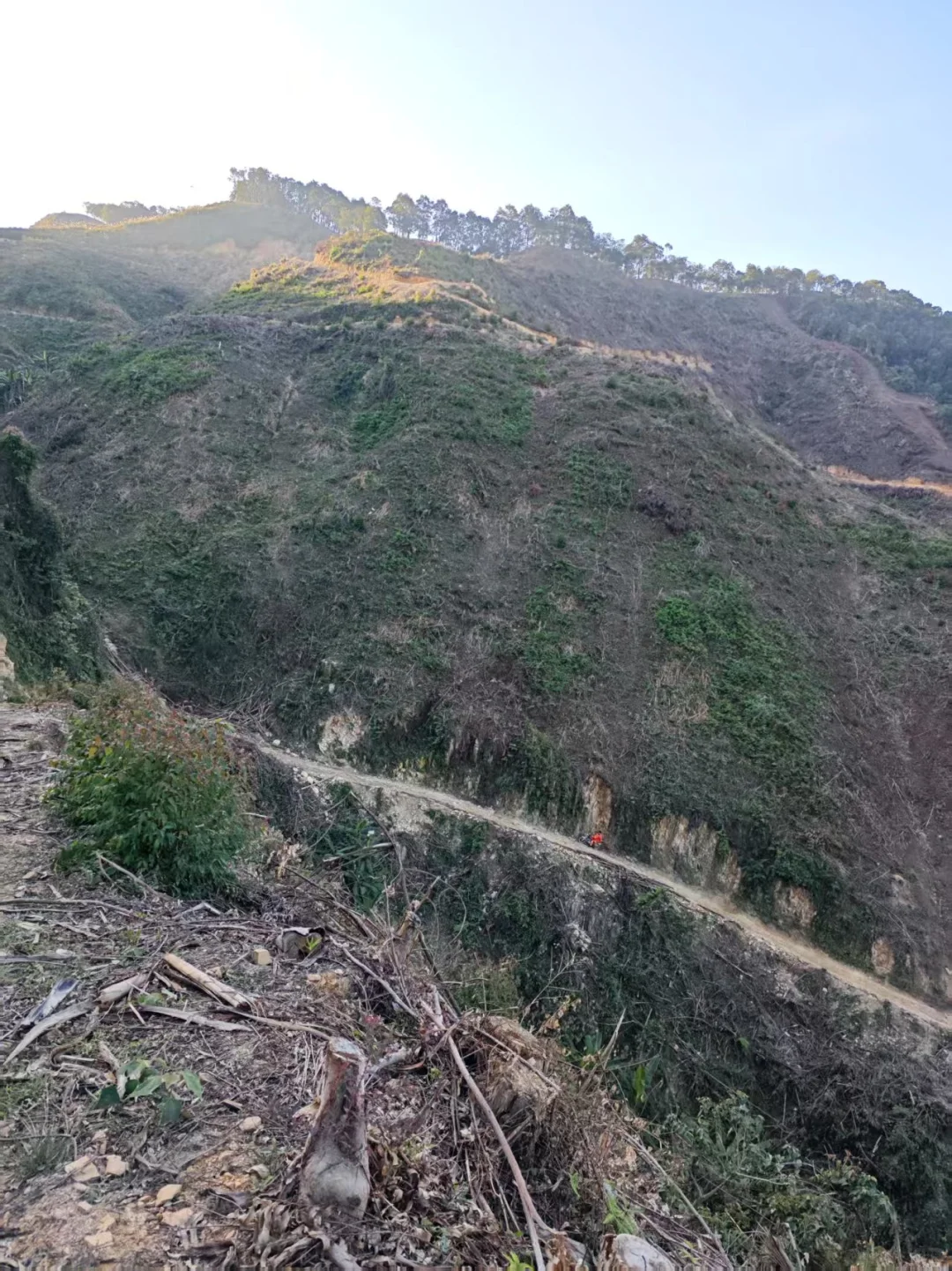 🌲坦白局 | 学林学/进林场？我劝你想清楚