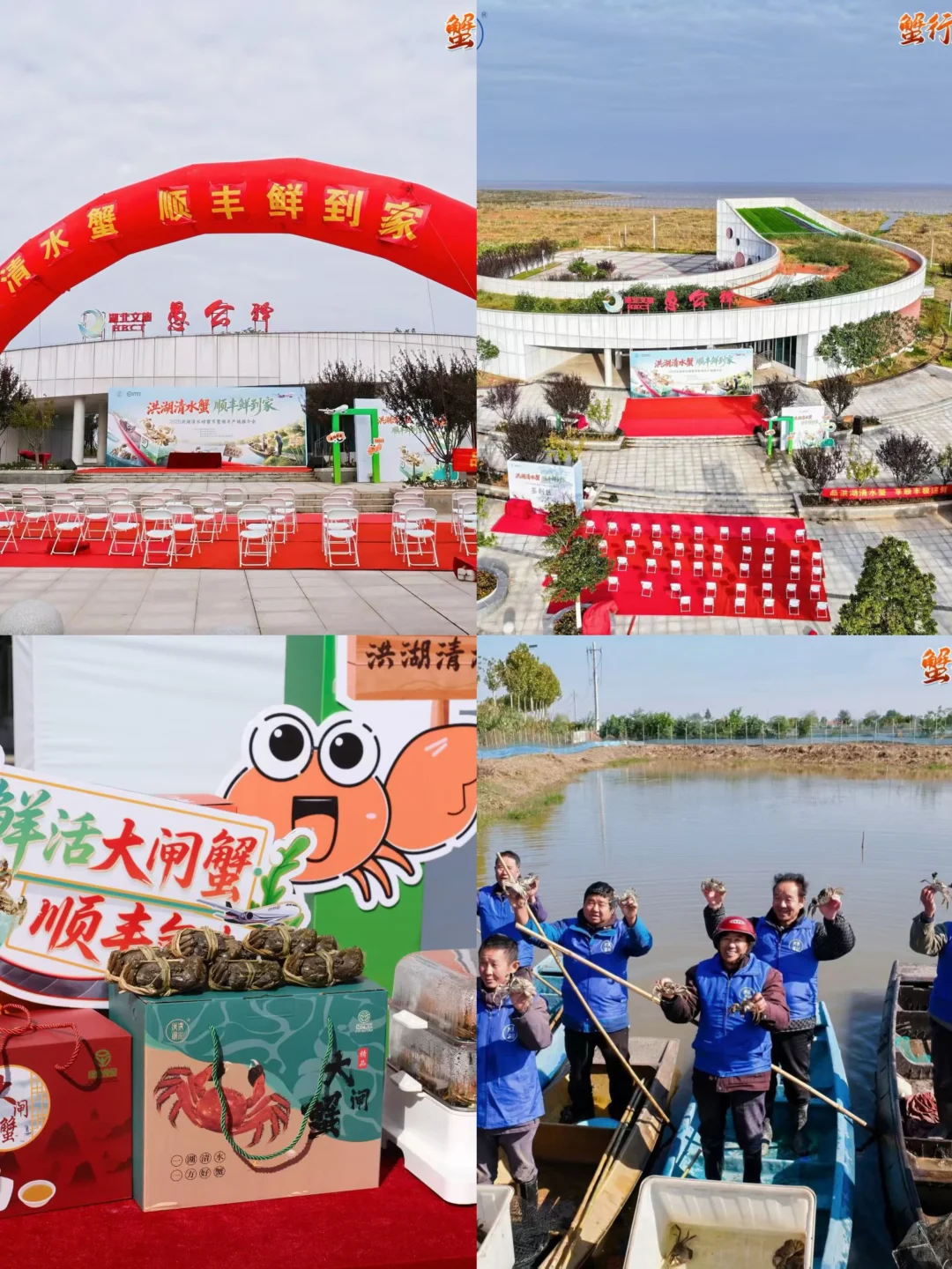 🦀️洪湖螃蟹节来啦！一起“蟹”逅金秋美味～