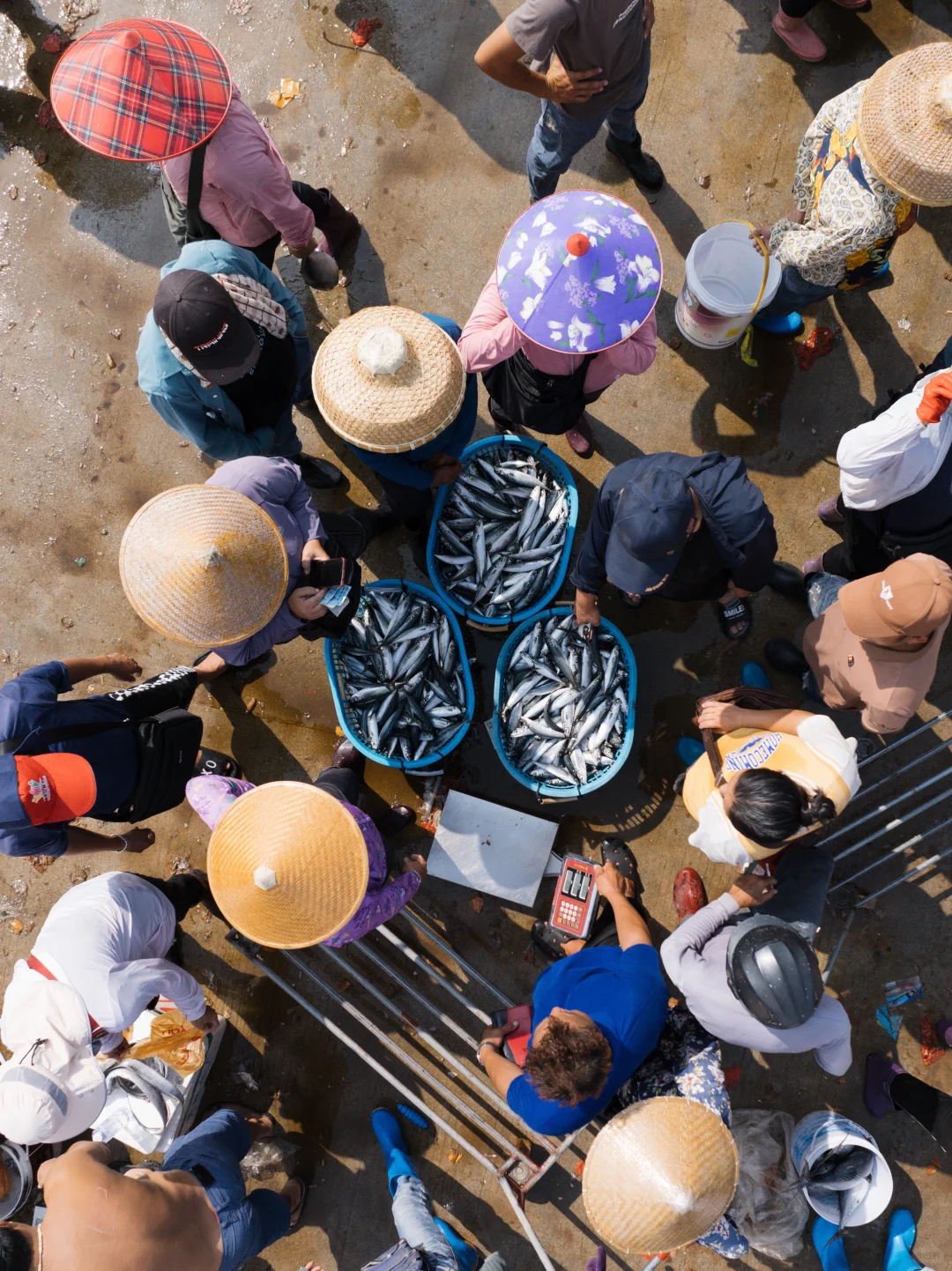 開漁尝鲜｜渔民的秩序美学