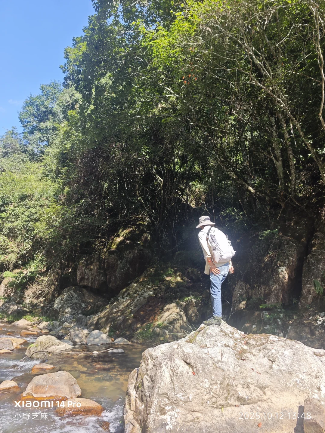林学的博士是这样出野外的