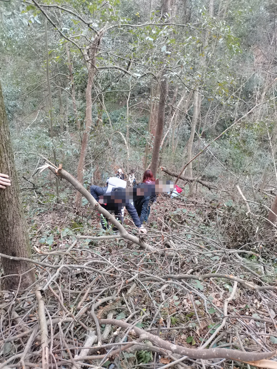 林学人是真的拿命学，别卷林业了