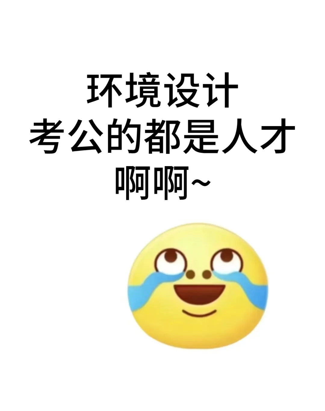 环境设计专业去考公的都是人才啊！