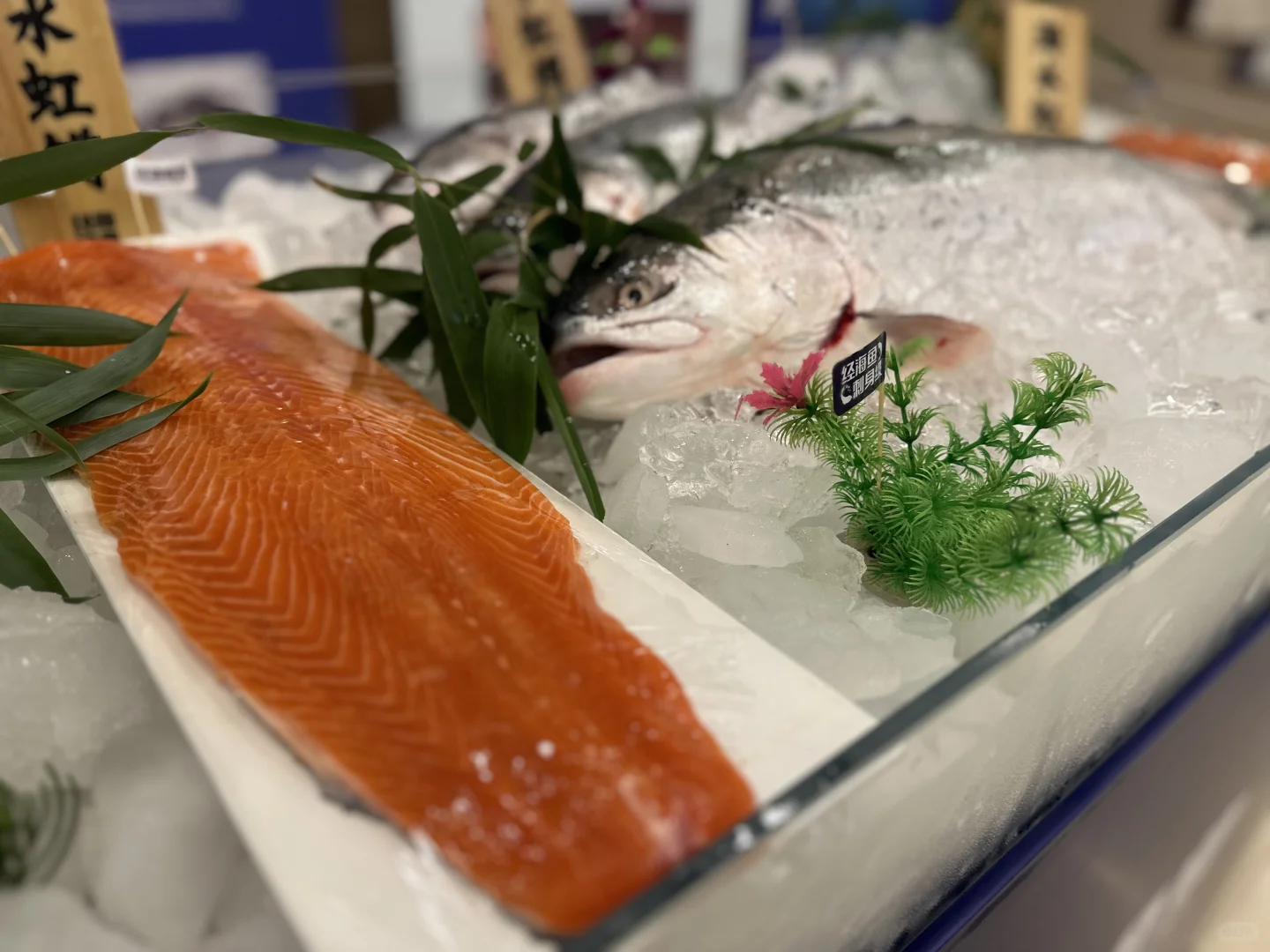 2025深远海养殖高质量发展大会在烟开幕