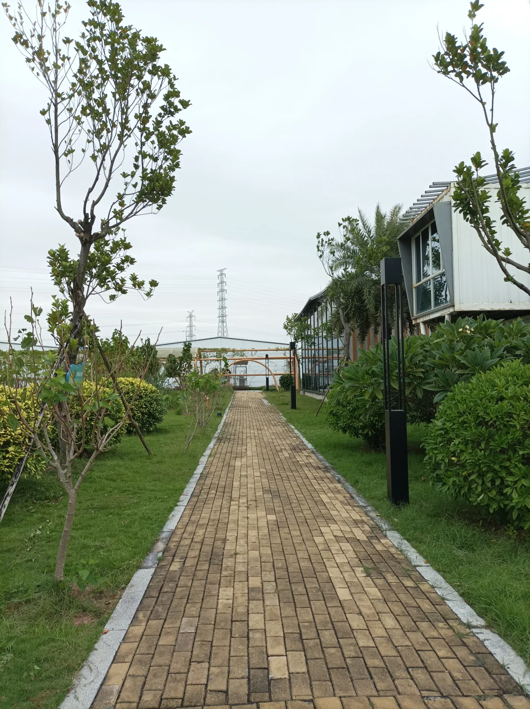 南沙美丽渔场专养蟹中茅台！万亩鱼虾蟹园区