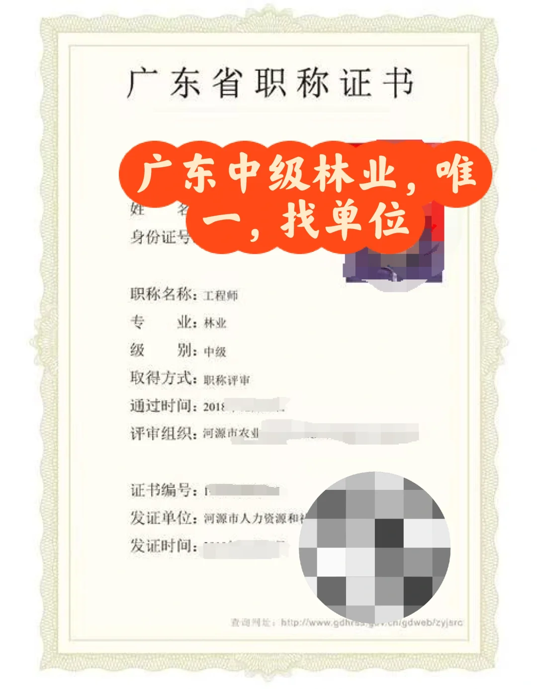 中级林业工程师找单位