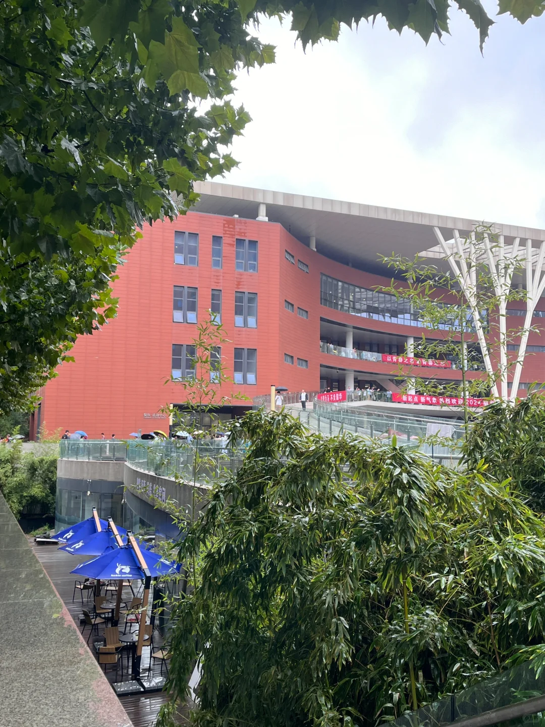 两个半月三跨上岸北林林业专硕（开学篇）