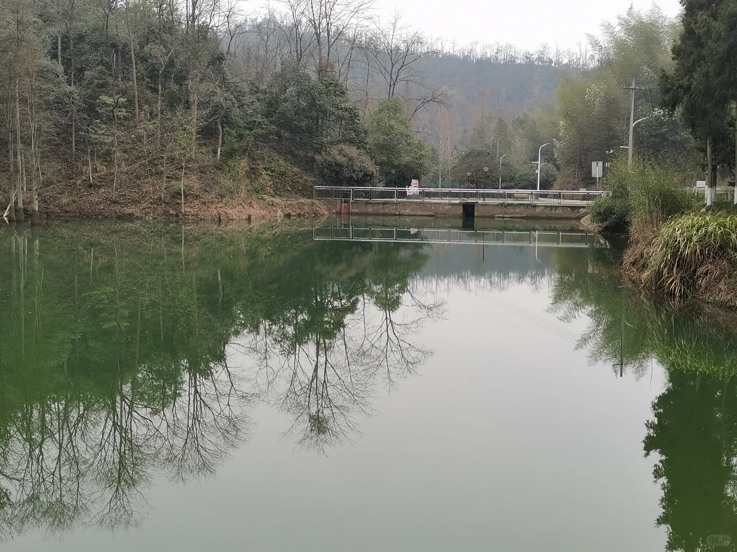 林学人是真的拿命学，别卷林业了