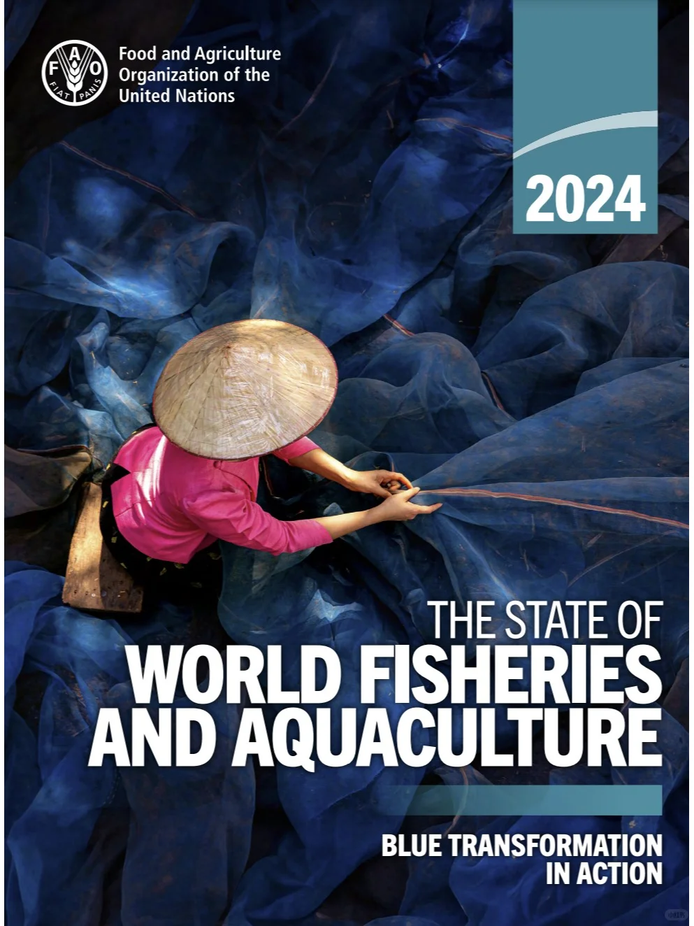 2024 年世界渔业和水产养殖状况 SOFIA FAO