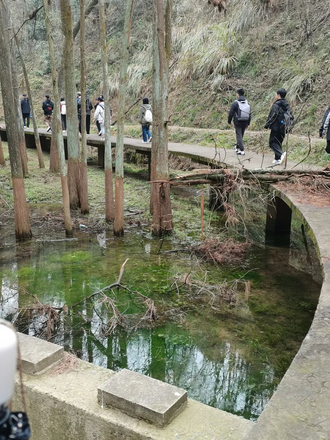 林学人是真的拿命学，别卷林业了