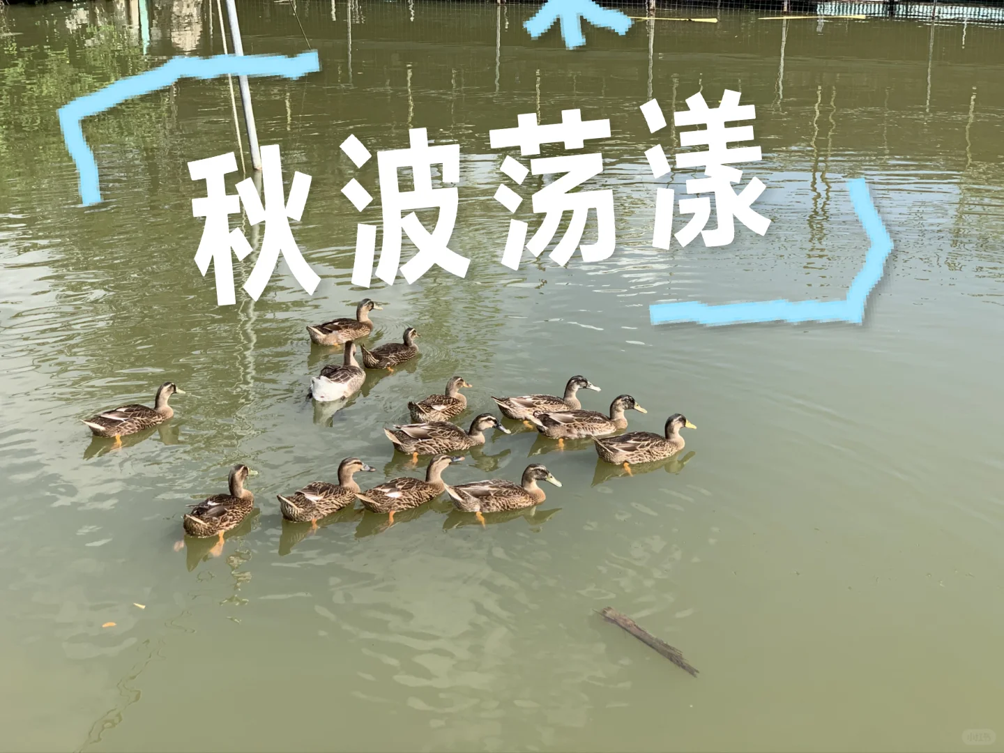 通过有机农场，重新理解大自然的价值